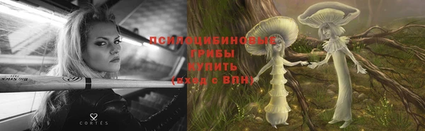 метадон Богородицк