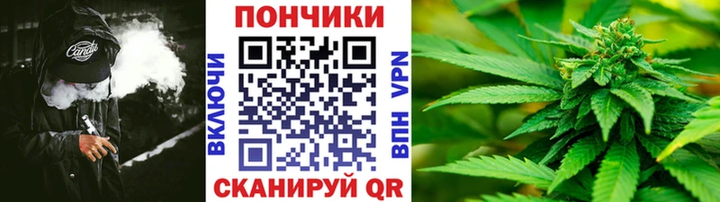 Шишки марихуана индика  Беломорск 